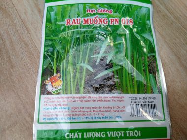 Hạt giống rau muống lá tre 100g