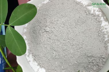 Nấm đối kháng Trichoderma plus Humic cải tạo đất gói 500gr