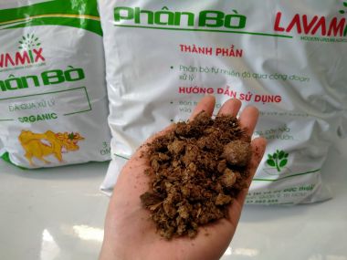 Phân bò đã xử lý Lavamix bịch 3dm3