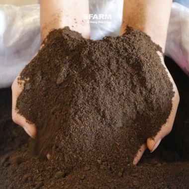 Phân bò ủ hoai Sfarm bịch 5kg