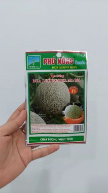 Hạt giống dưa lưới Angel ML 181 Phú Nông
