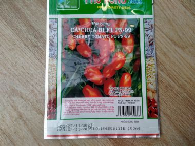 Hạt giống cà chua bi 