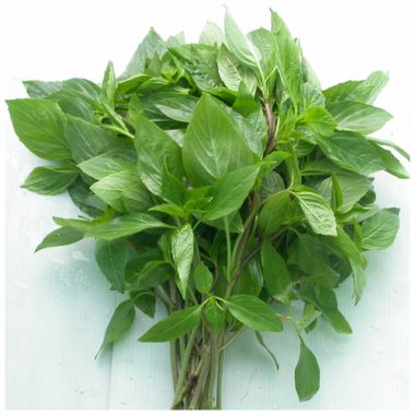 Hạt giống rau húng quế lá lớn Phú Nông gói 5gr