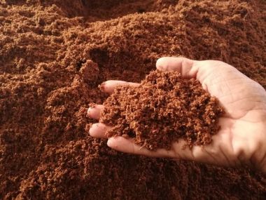 Mụn dừa đã xử lý Sfarm túi 5dm3 (~1.2kg) giữ ẩm tốt và sạch mầm bệnh