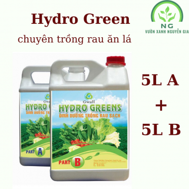 Dung dịch thủy canh Hydro Greens trồng rau ăn lá 10L