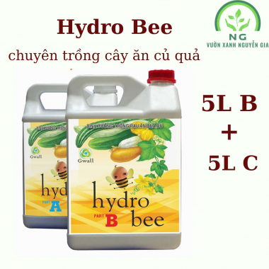Dung dịch thủy canh Hydro Bee trồng củ quả 10L