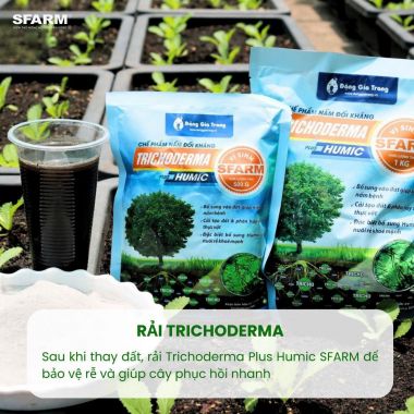Nấm đối kháng Trichoderma plus Humic cải tạo đất gói 500gr