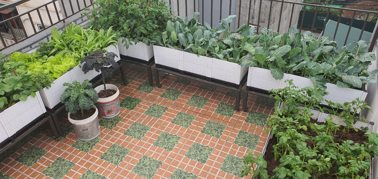 chậu nhựa lắp ráp trồng cây sân thượng