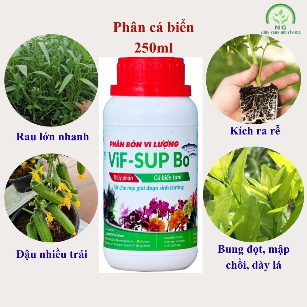 Phân cá biển Lavamix đậm đặc chai 250ml