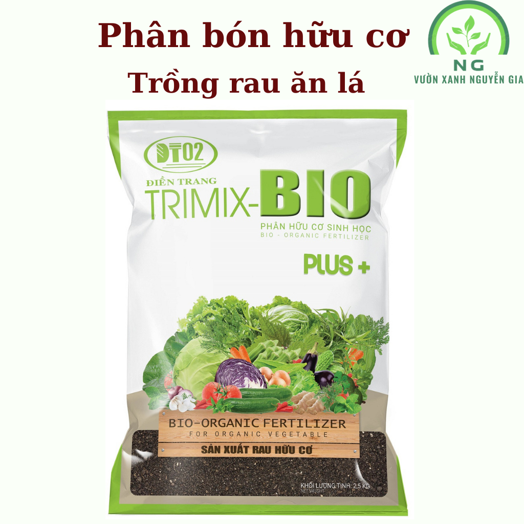 Hạt giống rau cần tây lá to Trang Nông